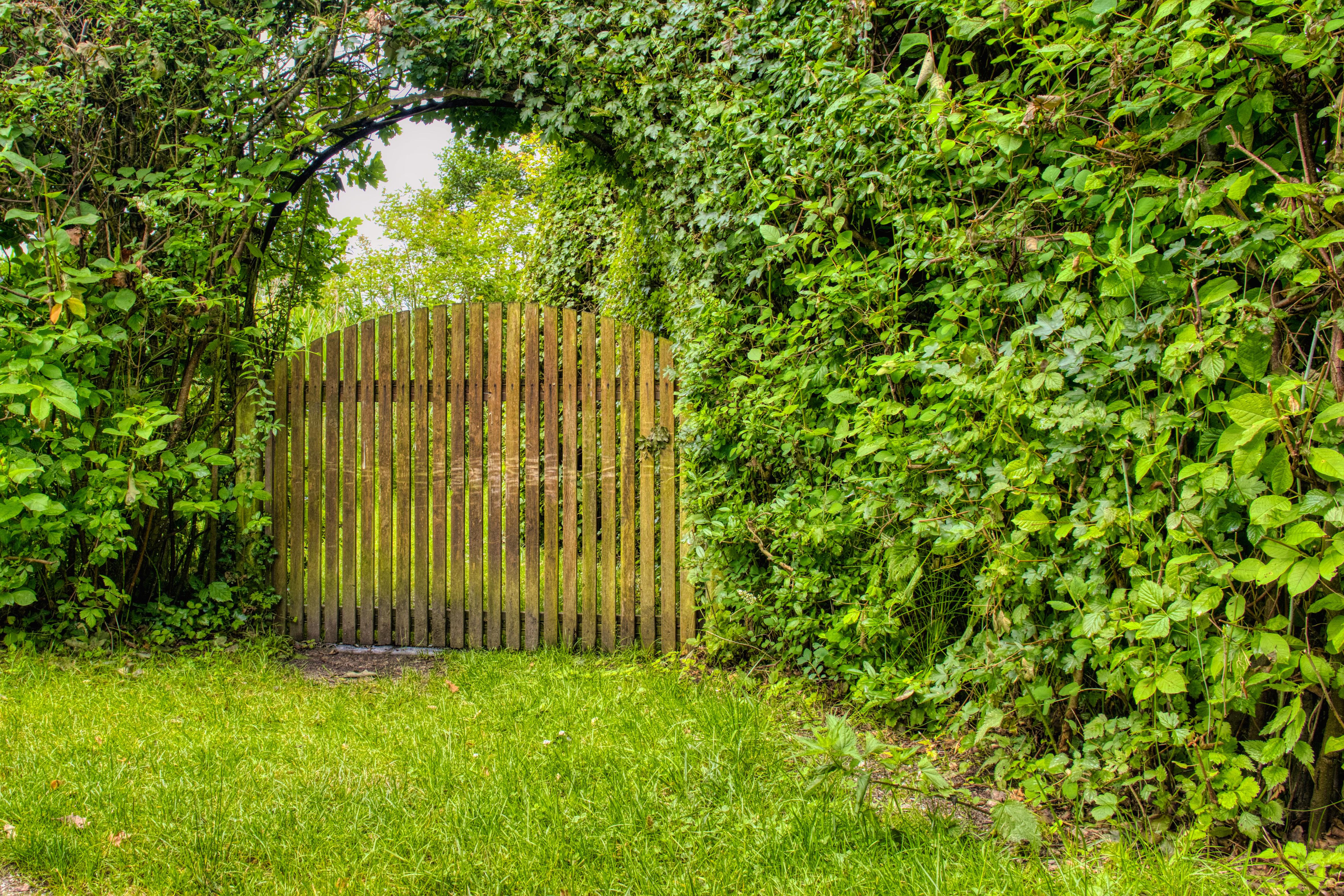 Open the Gate to Never Say Never